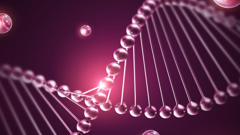 国产分子生物学试剂：揭秘其品质与选择之道