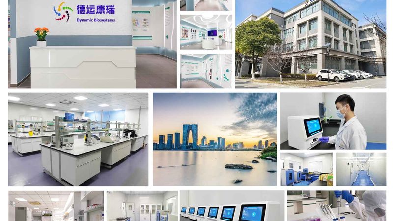 宠物抗体检测试剂盒：守护宠物健康的科技利器**