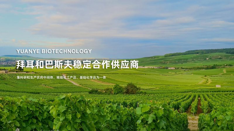 进口移液器如何选择：揭秘型号背后的关键因素**