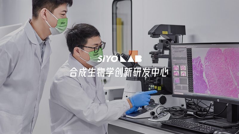 小标题：CRO优化培训的意义