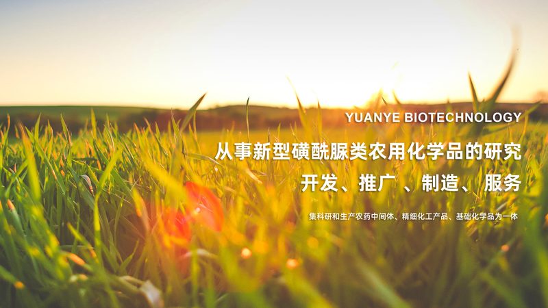 离心管定制注意事项