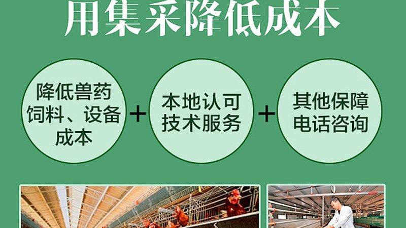 细胞培养，箱中奥秘：揭秘进口细胞培养箱的挑选之道**