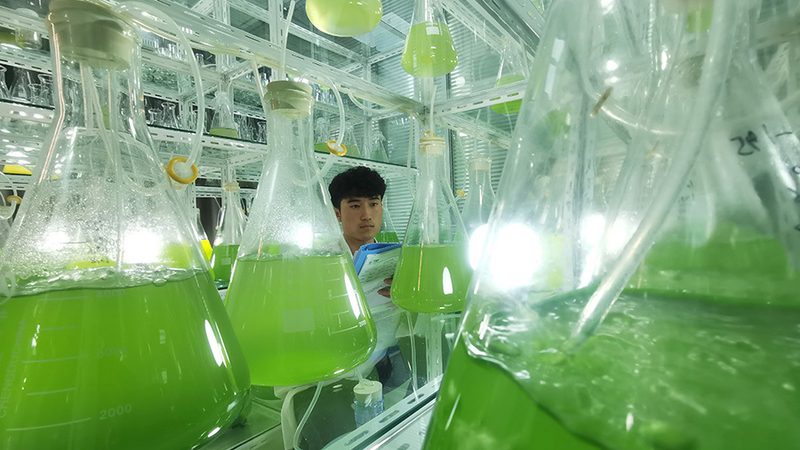 细胞培养箱选购，性价比高的关键点**